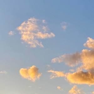 Meet your Posher, Vera